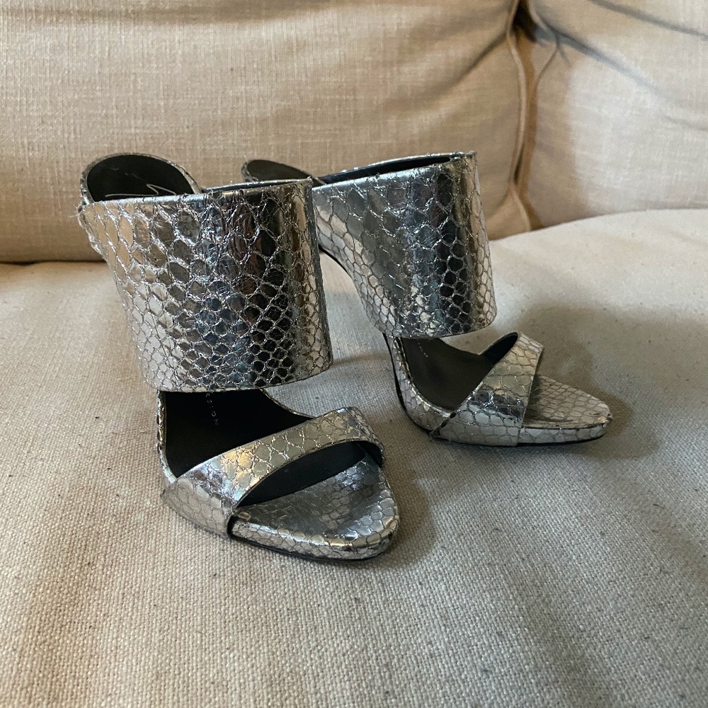 Giuseppe Zanotti